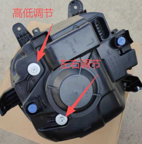 小马1.png